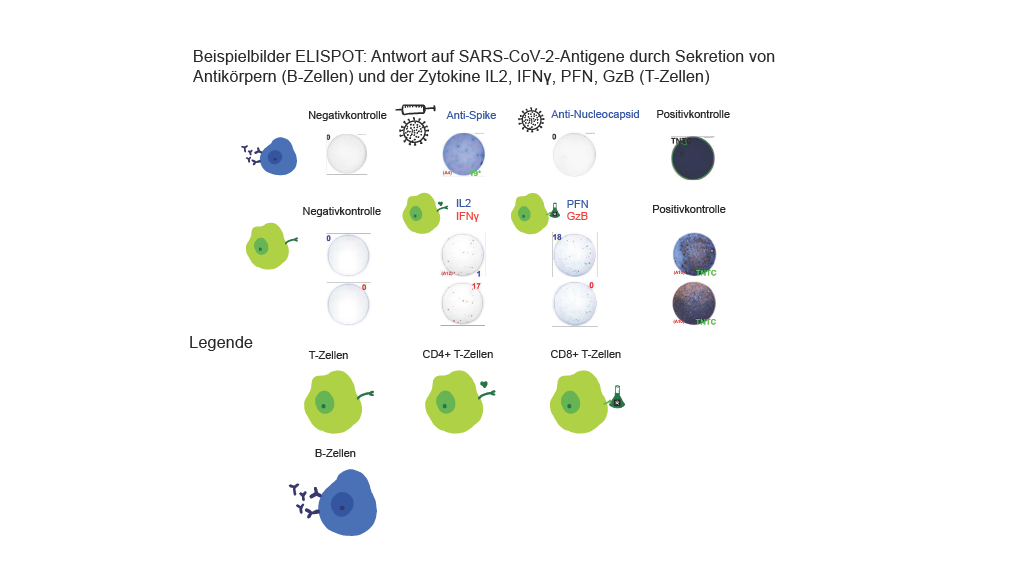 AG Kürten_2