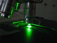 Baader_microscopy